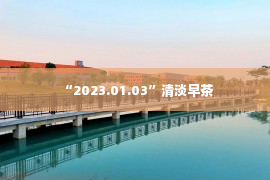 “2023.01.03”清淡早茶