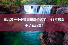 东北又一个小镇因低房价火了！ 45平房卖不了五万套！