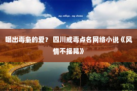 唱出毒枭的爱？ 四川戒毒点名网络小说《风情不摇晃》