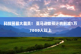 科技圈最大裁员！ 亚马逊曾预计将削减1万7000人以上