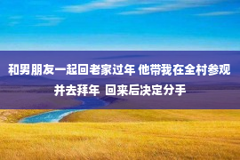 和男朋友一起回老家过年 他带我在全村参观并去拜年  回来后决定分手