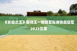 《长空之王》期待王一博胡军饰演铁血空军2023见面