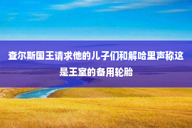 查尔斯国王请求他的儿子们和解哈里声称这是王室的备用轮胎