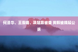 何泽华、王雪峰、汲斌昌被查 黄毅被提起公诉