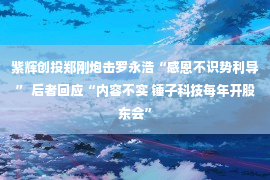 紫辉创投郑刚炮击罗永浩“感恩不识势利导” 后者回应“内容不实 锤子科技每年开股东会”