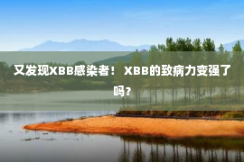 又发现XBB感染者！ XBB的致病力变强了吗？