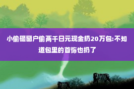 小偷砸窗户偷两千日元现金扔20万包:不知道包里的首饰也扔了