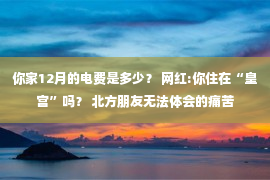 你家12月的电费是多少？ 网红:你住在“皇宫”吗？ 北方朋友无法体会的痛苦