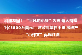 刷朋友圈！ “平凡的小猪”火灾 每人捐赠1亿3800万美元！ 财政部拿在手里 房地产“小作文”再现江湖