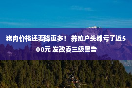 猪肉价格还要降更多！ 养殖户头都亏了近500元 发改委三级警告