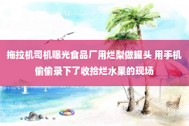 拖拉机司机曝光食品厂用烂梨做罐头 用手机偷偷录下了收拾烂水果的现场