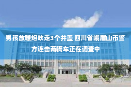 男孩放鞭炮吹走3个井盖 四川省峨眉山市警方连击两辆车正在调查中