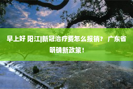 早上好 阳江|新冠治疗费怎么报销？ 广东省明确新政策！