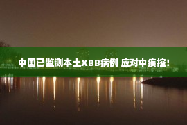 中国已监测本土XBB病例 应对中疾控！