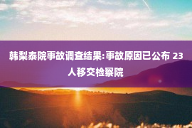 韩梨泰院事故调查结果:事故原因已公布 23人移交检察院