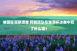 被国际足联调查 阿根廷队在世界杯决赛中犯了什么错？