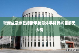 张新成录综艺摔断手腕意外手臂骨折目前无大碍