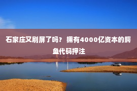 石家庄又刷屏了吗？ 拥有4000亿资本的鳄鱼代码押注