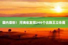 国内首创！ 河南省发现240个北魏王立仓藏