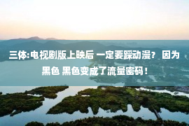 三体:电视剧版上映后 一定要踩动漫？ 因为黑色 黑色变成了流量密码！