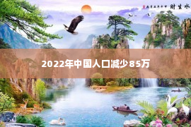 2022年中国人口减少85万