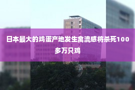 日本最大的鸡蛋产地发生禽流感将杀死100多万只鸡