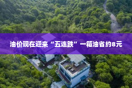 油价现在迎来“五连跌”一箱油省约8元