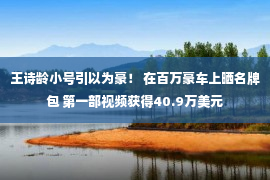 王诗龄小号引以为豪！ 在百万豪车上晒名牌包 第一部视频获得40.9万美元