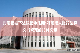 刘暖曦被下达限塑令法院:刘暖曦未履行法律文书规定的给付义务