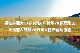 男性外遇大17岁女性6年转账20多万元 丈夫给恋人转账20万元人民币成功回收