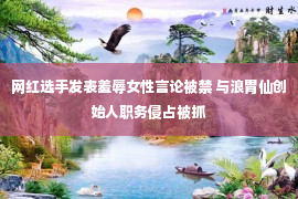 网红选手发表羞辱女性言论被禁 与浪胃仙创始人职务侵占被抓