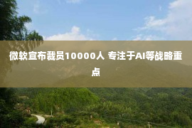 微软宣布裁员10000人 专注于AI等战略重点