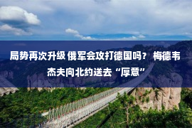 局势再次升级 俄军会攻打德国吗？ 梅德韦杰夫向北约送去“厚意”