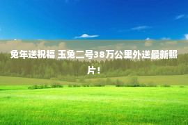 兔年送祝福 玉兔二号38万公里外送最新照片！