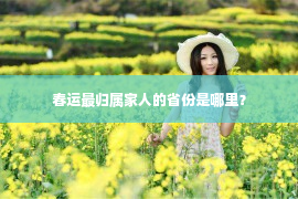 春运最归属家人的省份是哪里？