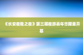 《长安夜我之夜》第三届夜游嘉年华隆重开幕