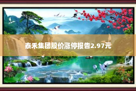 泰禾集团股价涨停报告2.97元