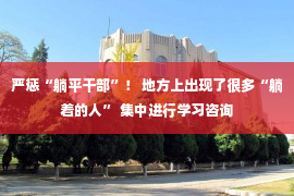 严惩“躺平干部”！ 地方上出现了很多“躺着的人” 集中进行学习咨询