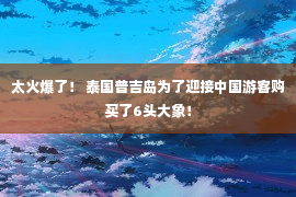 太火爆了！ 泰国普吉岛为了迎接中国游客购买了6头大象！