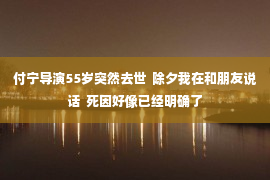 付宁导演55岁突然去世  除夕我在和朋友说话  死因好像已经明确了