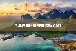 今年过年回家 被催结婚了吗？