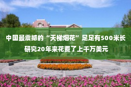 中国最震撼的“天梯烟花”足足有500米长 研究20年来花费了上千万美元