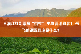 《满江红》票房“倒挂” 电影高潮败北？ 岳飞的遗嘱到底是什么？