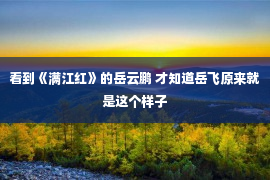 看到《满江红》的岳云鹏 才知道岳飞原来就是这个样子