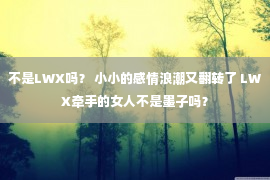 不是LWX吗？ 小小的感情浪潮又翻转了 LWX牵手的女人不是墨子吗？