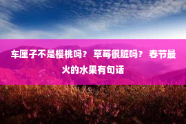 车厘子不是樱桃吗？ 草莓很脏吗？ 春节最火的水果有句话