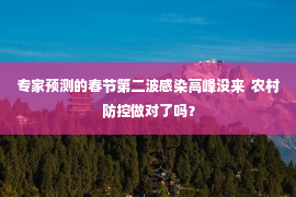 专家预测的春节第二波感染高峰没来  农村防控做对了吗？