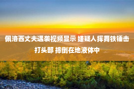 佩洛西丈夫遇袭视频显示 嫌疑人挥舞铁锤击打头部 摔倒在地液体中