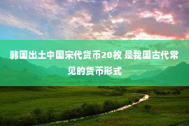 韩国出土中国宋代货币20枚 是我国古代常见的货币形式