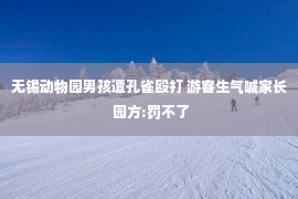 无锡动物园男孩遭孔雀殴打 游客生气喊家长 园方:罚不了